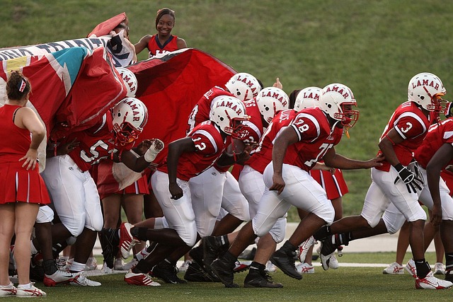 费德勒的名 费德勒的名